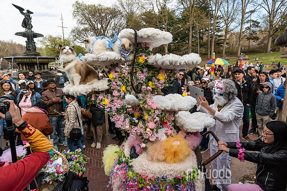 mikiodo260412_08507_LR
