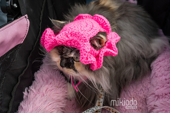 mikiodo260412_08535_LR