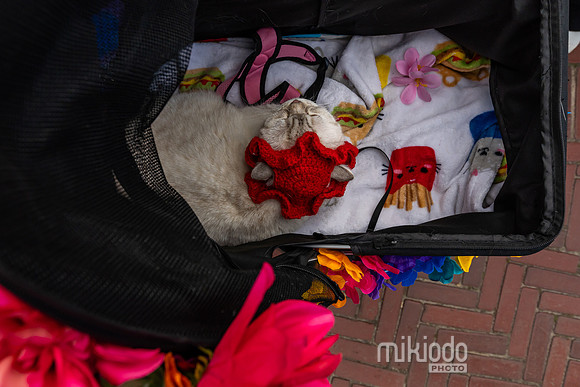 mikiodo260412_08544_LR