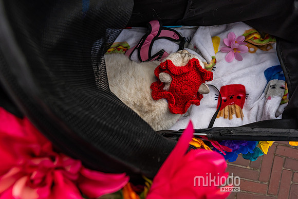 mikiodo260412_08552_LR