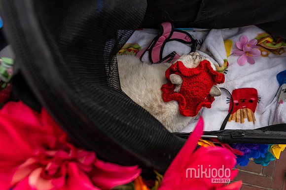 mikiodo260412_08554_LR