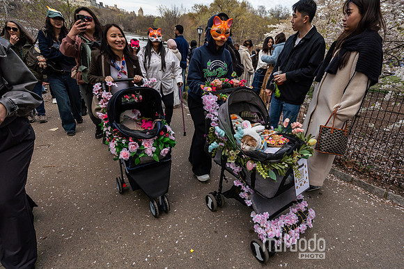 mikiodo260412_08586_LR