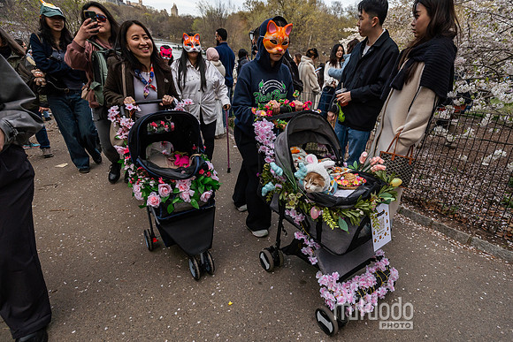 mikiodo260412_08587_LR