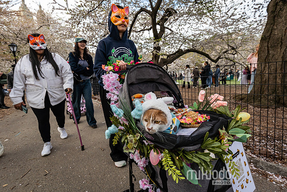 mikiodo260412_08595_LR