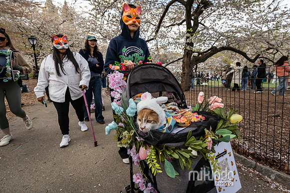mikiodo260412_08592_LR