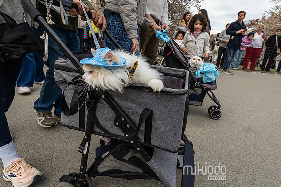 mikiodo260412_08597_LR