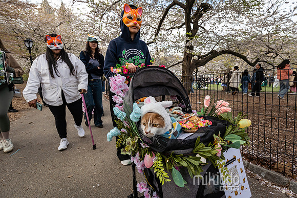 mikiodo260412_08593_LR