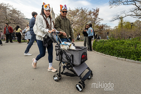 mikiodo260412_08598_LR