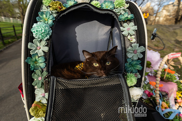 mikiodo260412_08638_LR