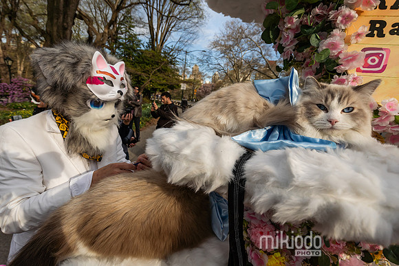 mikiodo260412_08640_LR