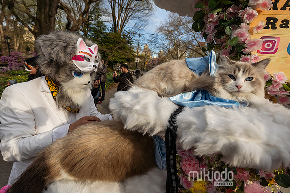 mikiodo260412_08641_LR