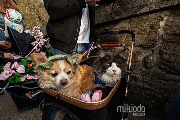 mikiodo260412_08693_LR