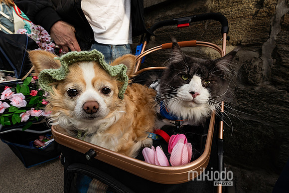 mikiodo260412_08698_LR