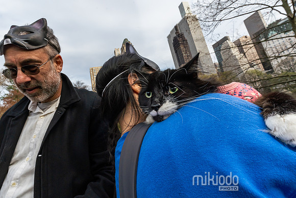 mikiodo260412_08710_LR