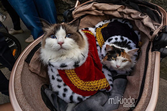 mikiodo260412_08713_LR