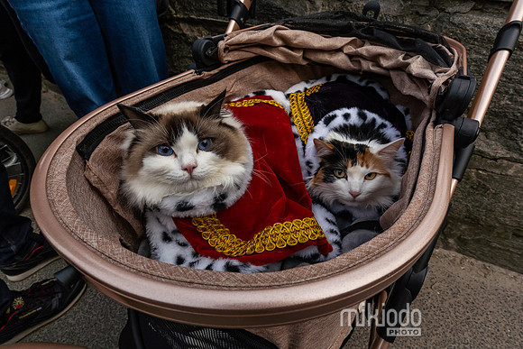 mikiodo260412_08719_LR