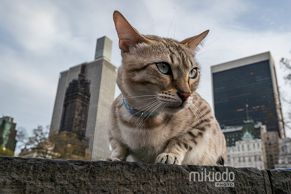 mikiodo260412_08733_LR