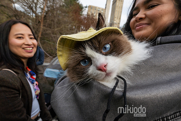 mikiodo260412_08751_LR