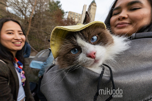 mikiodo260412_08752_LR