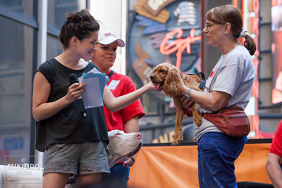 Broadway Barks 2014