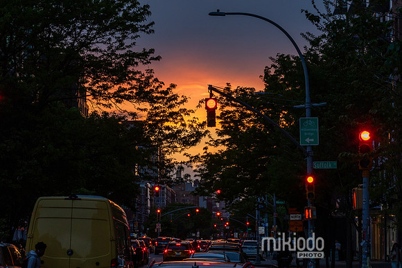 mikiodo260501_4521_LR