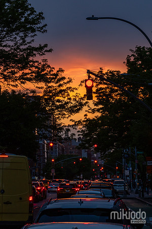 mikiodo260501_4524_LR
