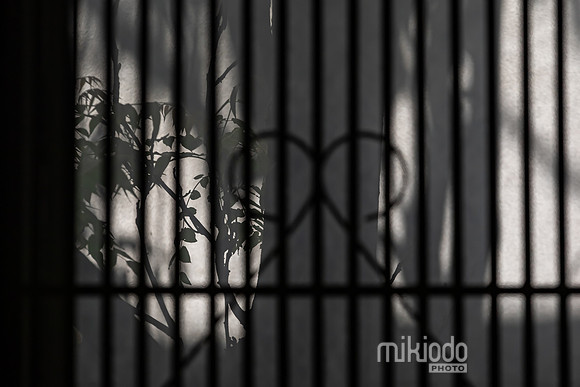 mikiodo260516_5932_LR