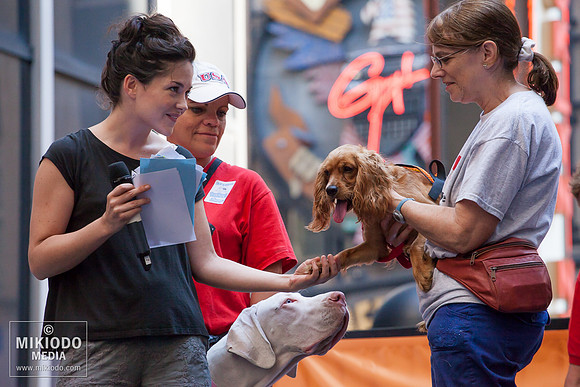 Broadway Barks 2014