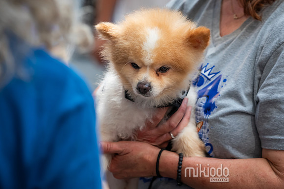mikiodo260711_4675_LR