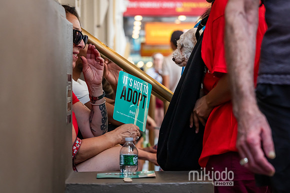 mikiodo260711_4677_LR