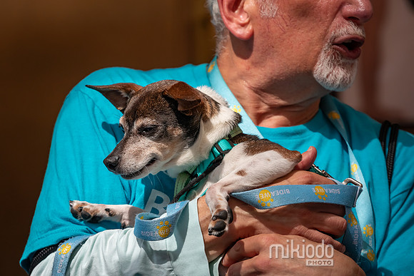 mikiodo260711_4714_LR