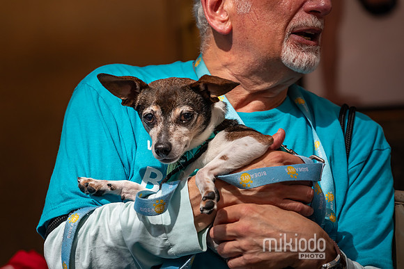 mikiodo260711_4718_LR