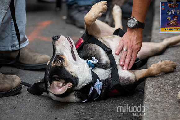 mikiodo260711_4725_LR