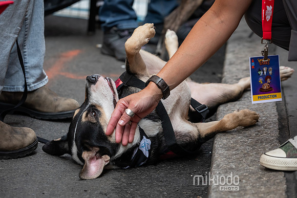 mikiodo260711_4727_LR