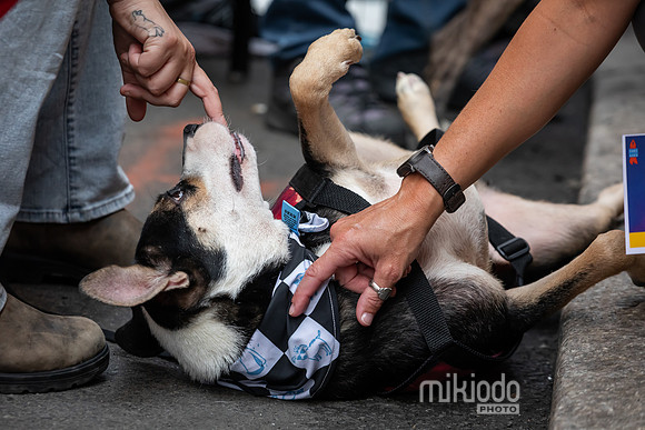 mikiodo260711_4728_LR