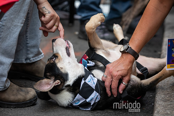 mikiodo260711_4729_LR