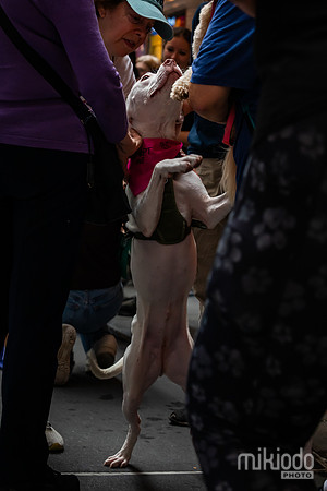 mikiodo260711_4756_LR