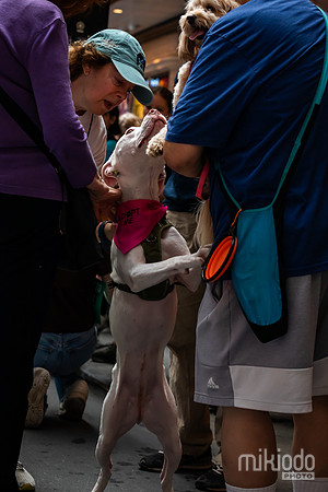 mikiodo260711_4755_LR