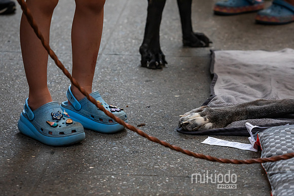 mikiodo260711_4748_LR