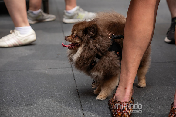 mikiodo260711_4777_LR
