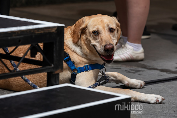 mikiodo260711_4782_LR