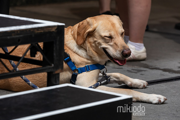 mikiodo260711_4783_LR