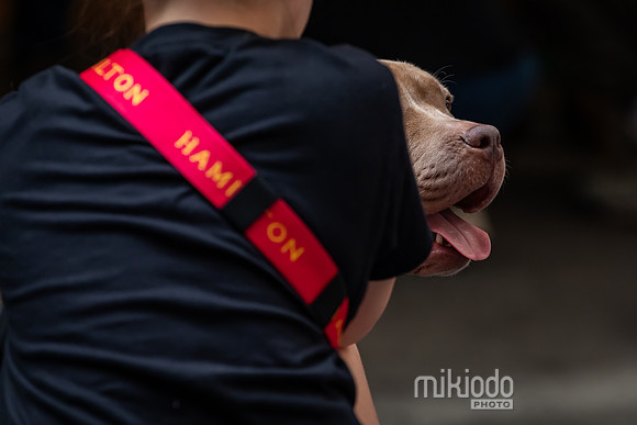 mikiodo260711_4807_LR