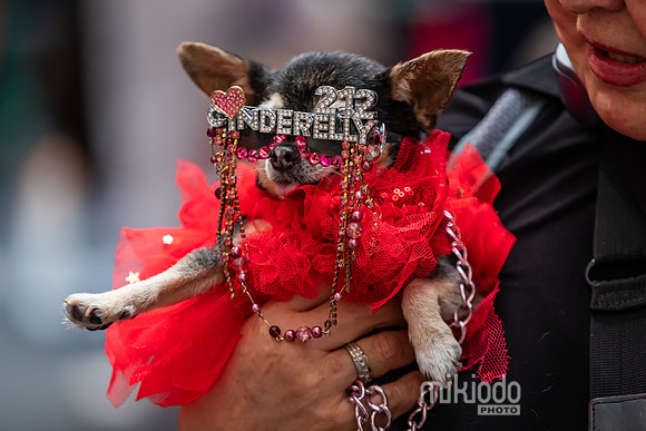 mikiodo260711_4792_LR