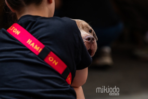 mikiodo260711_4808_LR