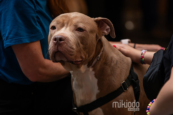 mikiodo260711_4812_LR