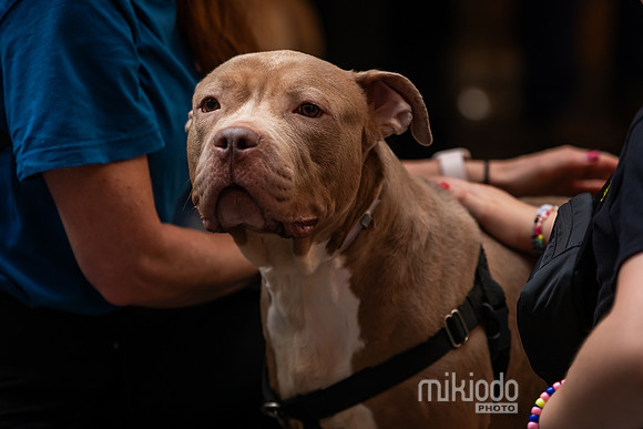 mikiodo260711_4813_LR