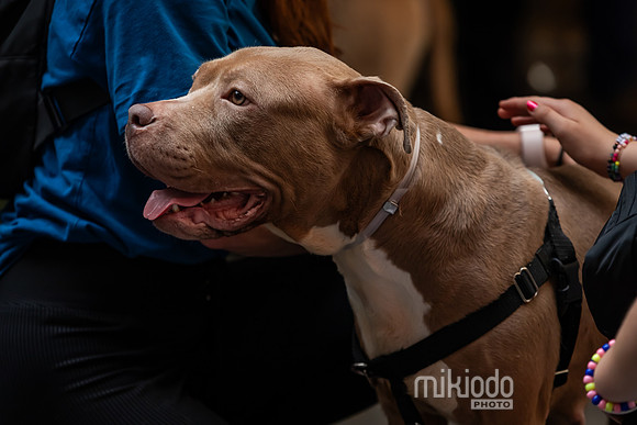 mikiodo260711_4815_LR