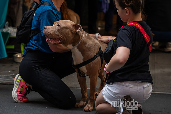 mikiodo260711_4814_LR