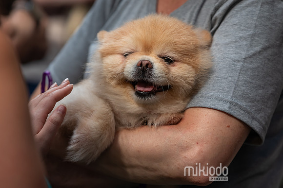 mikiodo260711_4817_LR